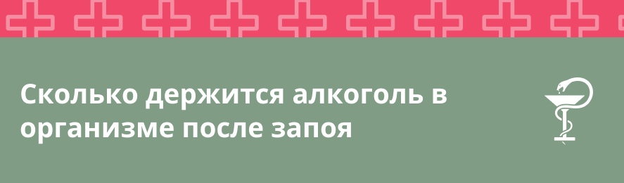 Сколько держится алкоголь в организме после запоя