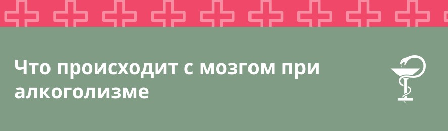 Что происходит с мозгом при алкоголизме