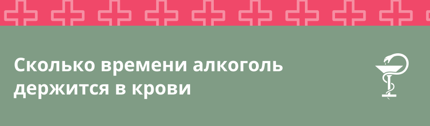Сколько времени алкоголь держится в крови