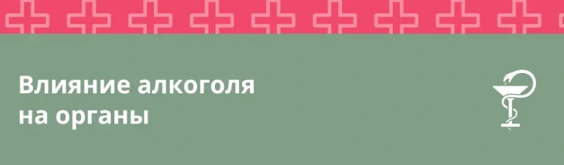 Влияние алкоголя на органы