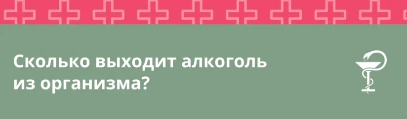 Сколько выходит алкоголь из организма