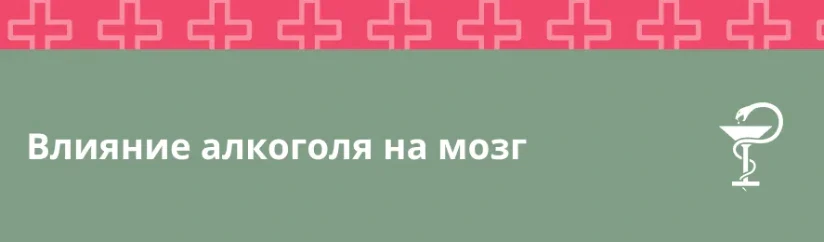 Влияние алкоголя на мозг